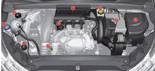 Motores gasolina 