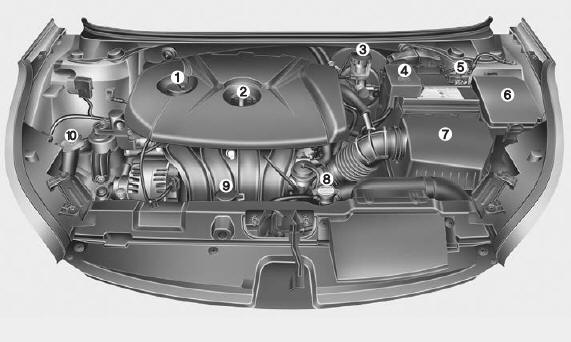 Engine compartment 