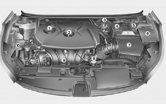 Compartimento del motor