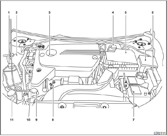 Puntos de inspección en el compartimiento del motor