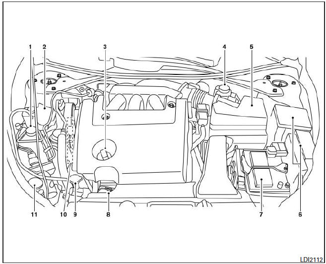 Motor VQ35DE