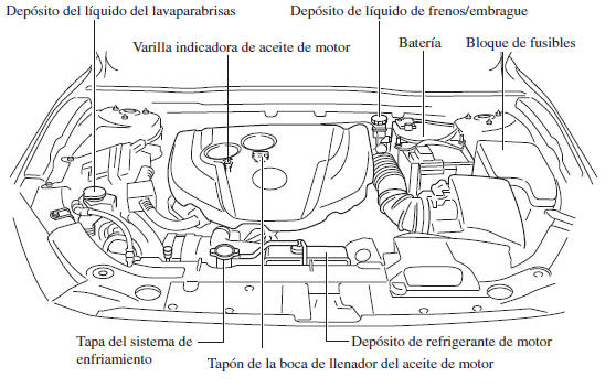 Mazda3. Vista del compartimiento del motor 