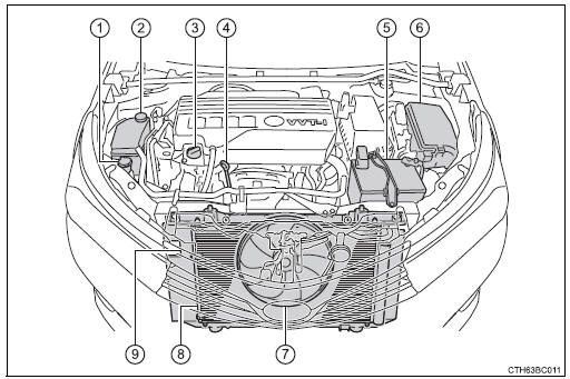 Compartimiento del motor